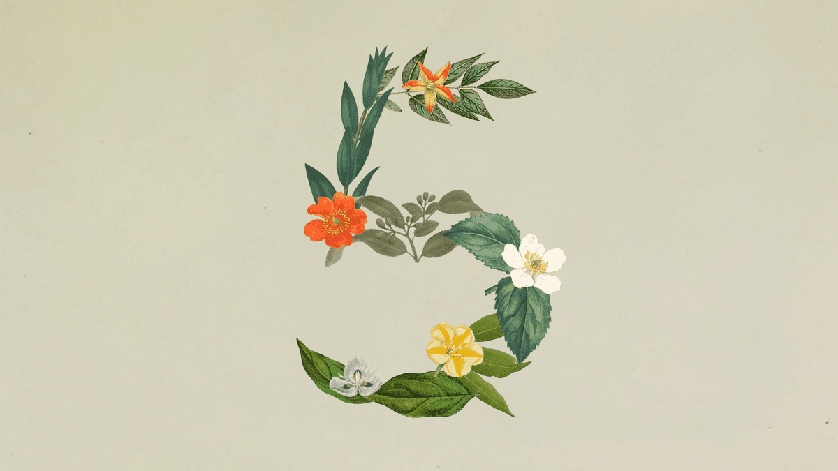 Anthropic Claude Sonnet 5 출시 — 에이전트 작업 특화 모델